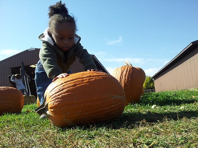 pumpkin